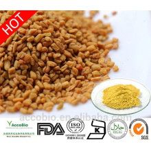 Extrato de semente de feno-grego 100% natural de alta qualidade em pó 4-hidroxiisoleucina 98% a granel